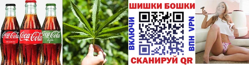 МЕГА tor  Новодвинск  Cannafood марихуана 