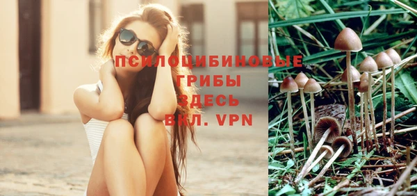 мескалин Медвежьегорск