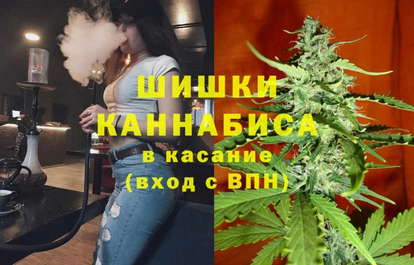 мяу мяу мука Михайловск