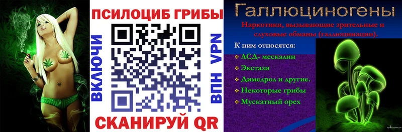 Псилоцибиновые грибы Cubensis  Новодвинск 