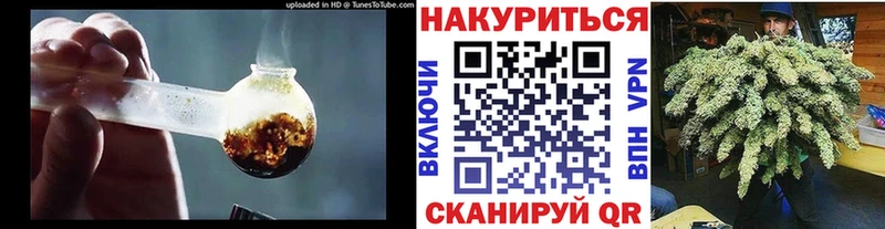купить закладку  Новодвинск  Марихуана план 