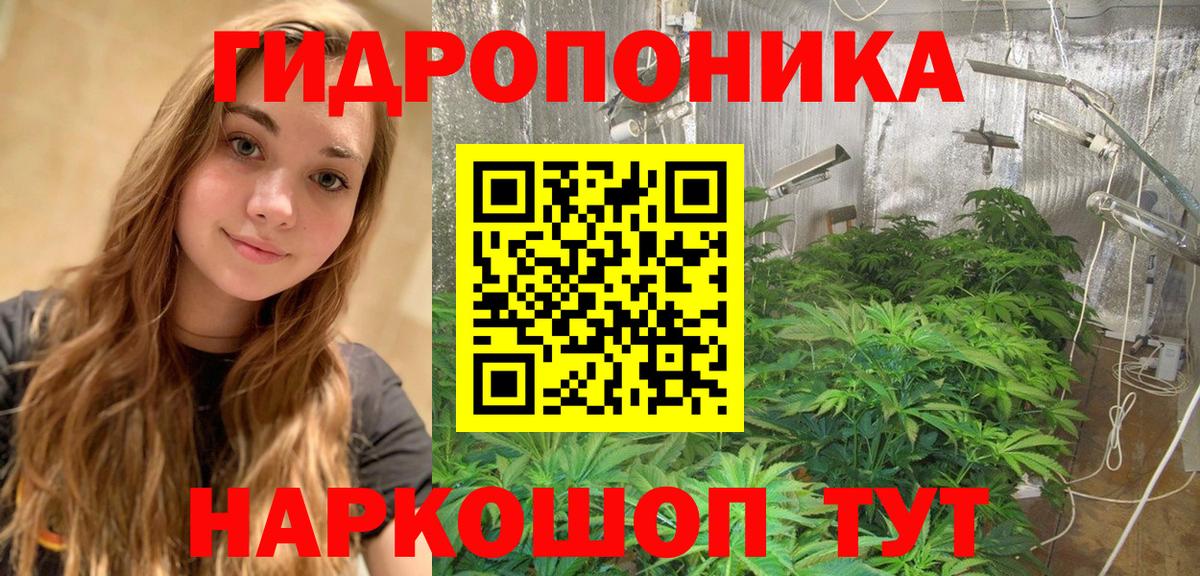 МАРИХУАНА White Widow  Марихуана Amnesia  Новодвинск  Вход с VPN 